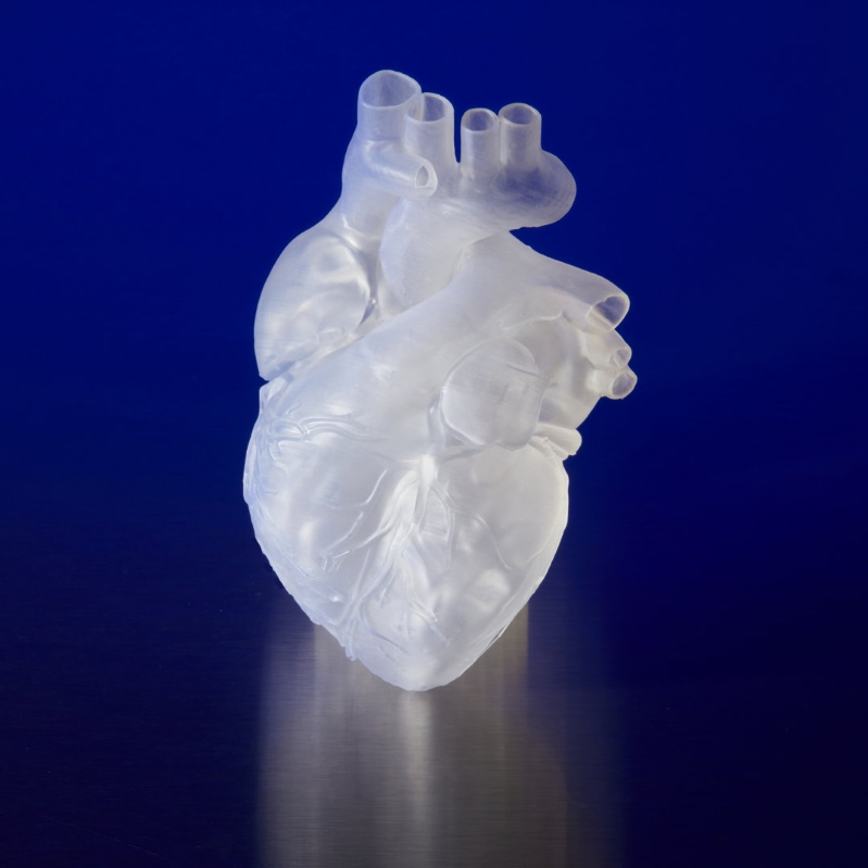 Coração humano feito com Elastic Resin